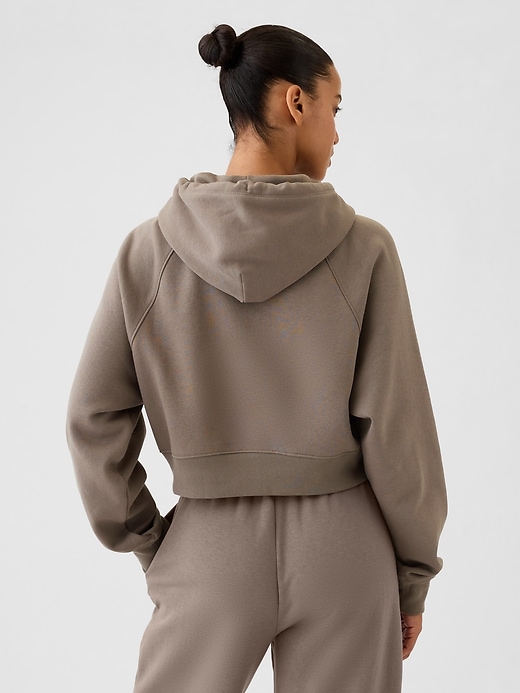 2 of 8 showing, with the color plymouth rock brown of product Vintage Soft Cropped Hoodie