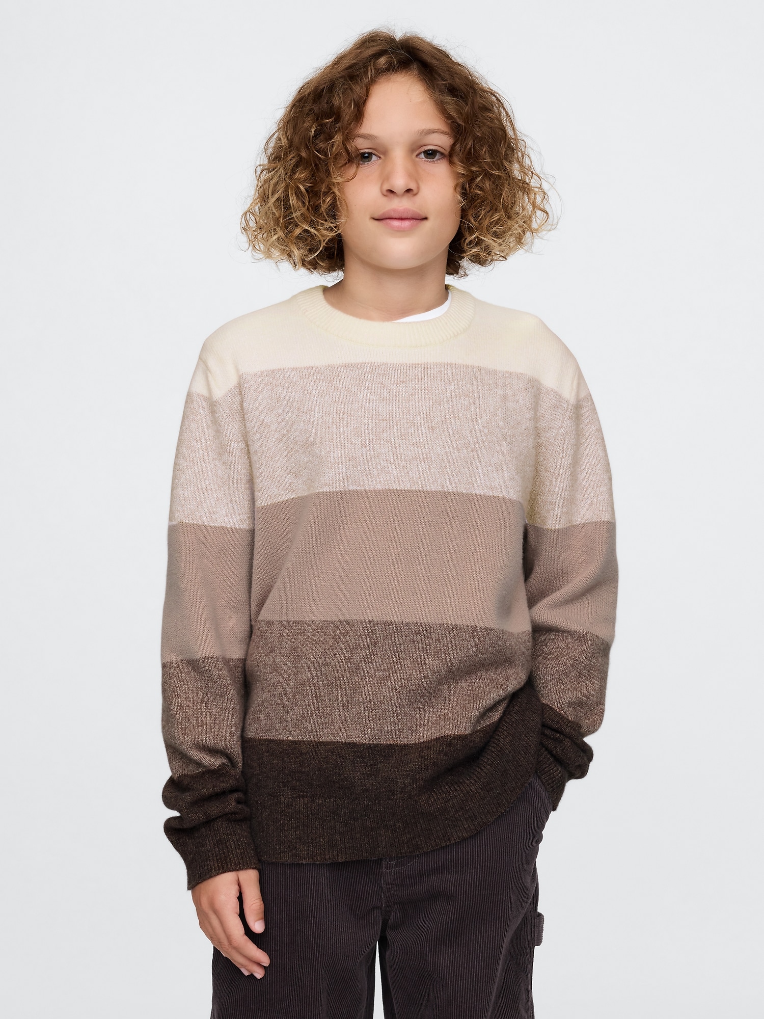 Stripe Crewneck Sweaters Gap