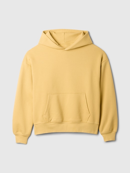 Image number 7 showing, The Extra Heavyweight Hoodie That Hoodies