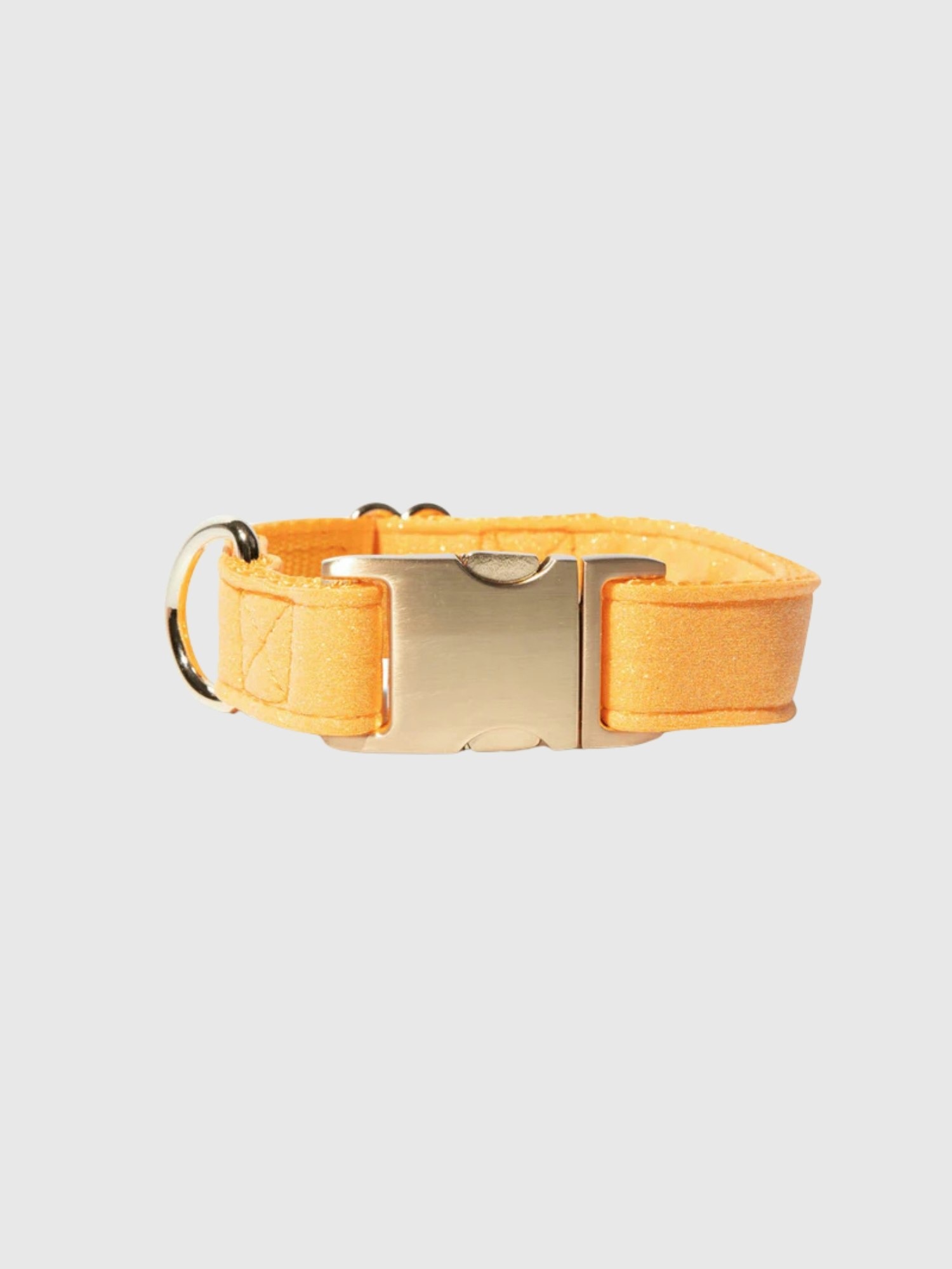 Glitter Dog Collar
