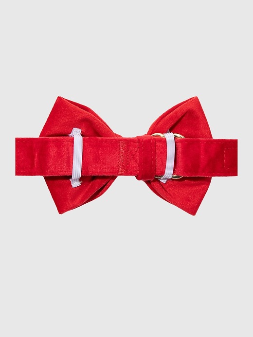 2 of 8 showing, with the color BLAZE of product Velvet Dog Bow Tie