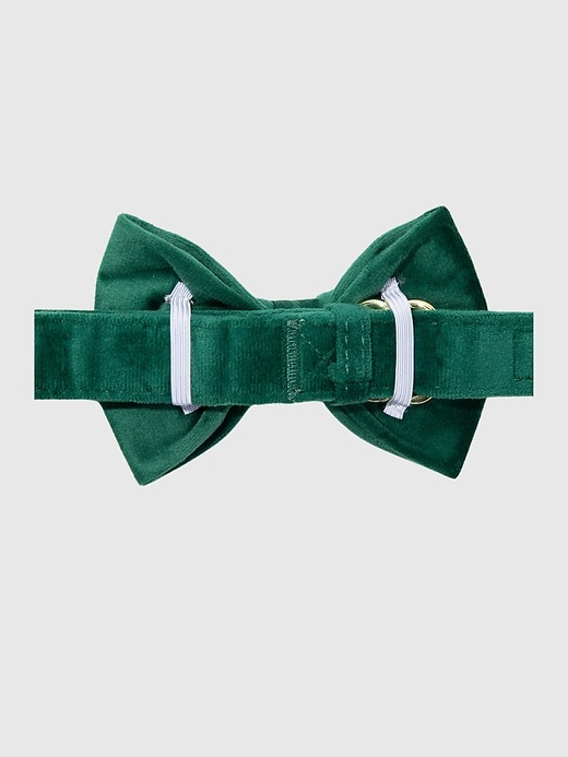 2 of 8 showing, with the color RUE of product Velvet Dog Bow Tie