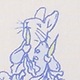 Baby Peter Rabbit™ Eyelet Dress