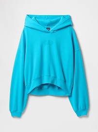 Vintage Soft Arch Logo Cropped Hoodie