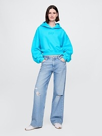Vintage Soft Arch Logo Cropped Hoodie