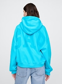 Arch Logo Cropped Hoodie