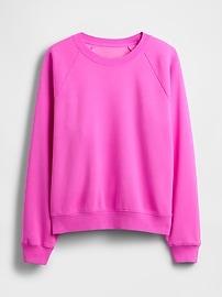 VintageSoft Raglan Sweatshirt