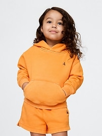 babyGap Vintage Soft Brannan Bear Hoodie