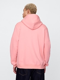 Vintage Soft Arch Logo Full-Zip Hoodie