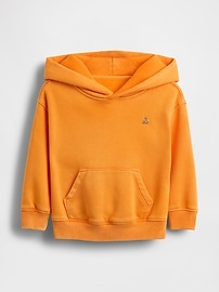 babyGap Vintage Soft Brannan Bear Hoodie