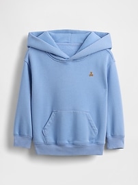 babyGap Vintage Soft Brannan Bear Hoodie