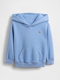 babyGap Vintage Soft Brannan Bear Hoodie