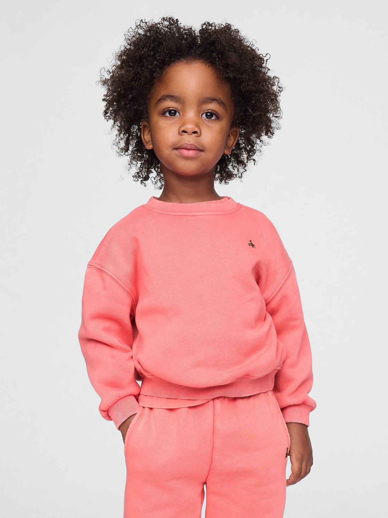 Baby & Toddler VintageSoft Sweatshirt | Gap