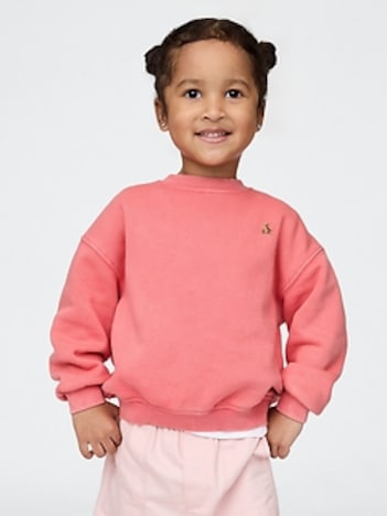 Baby & Toddler VintageSoft Sweatshirt