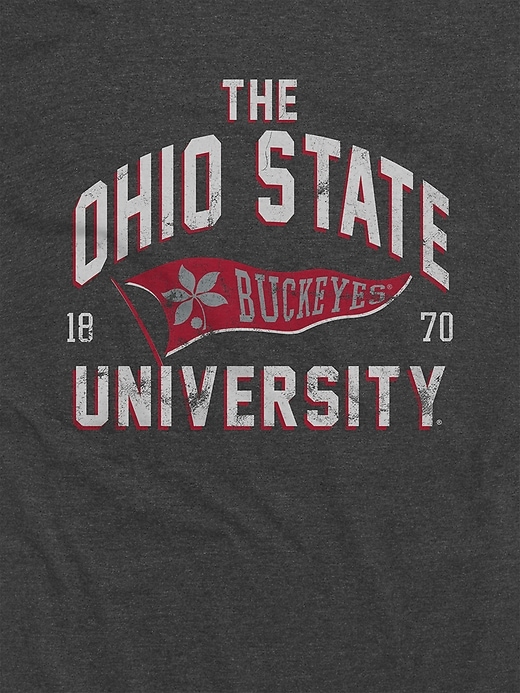 Image number 3 showing, Ohio State Buckeyes Banner Graphic T-Shirt