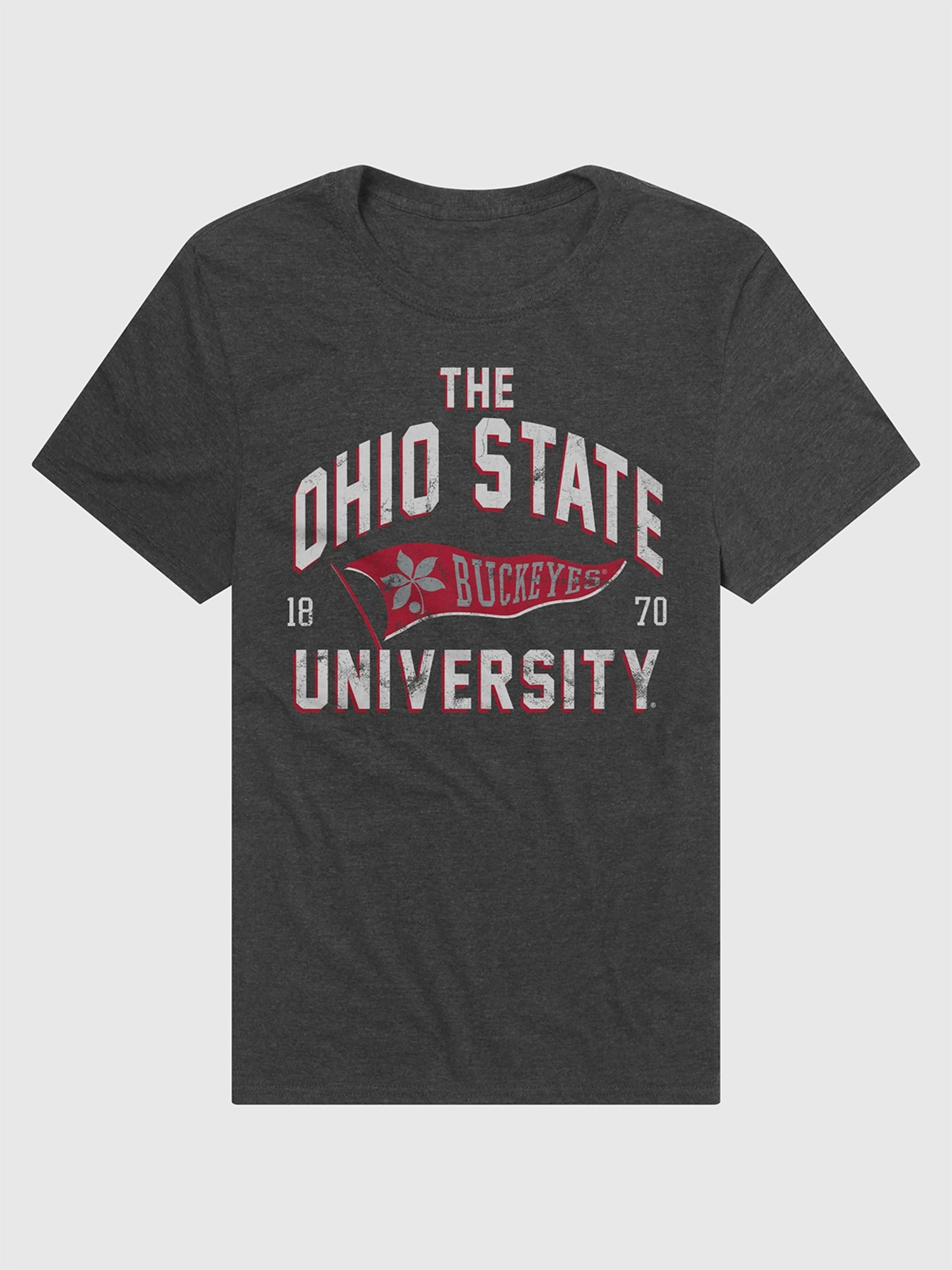 Ohio State Buckeyes Banner Graphic T-Shirt