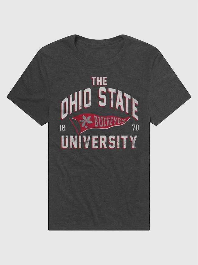 Ohio State Buckeyes Banner Graphic T-Shirt