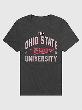 Ohio State Buckeyes Banner Graphic T-Shirt
