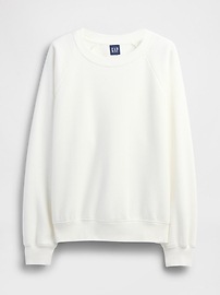 Vintage Soft Raglan Sweatshirt