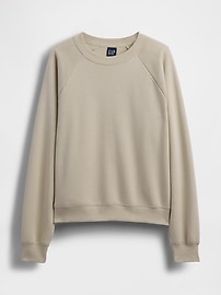 Vintage Soft Raglan Sweatshirt