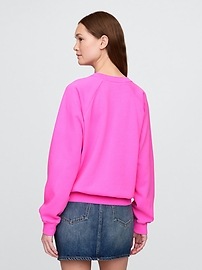 Vintage Soft Raglan Sweatshirt