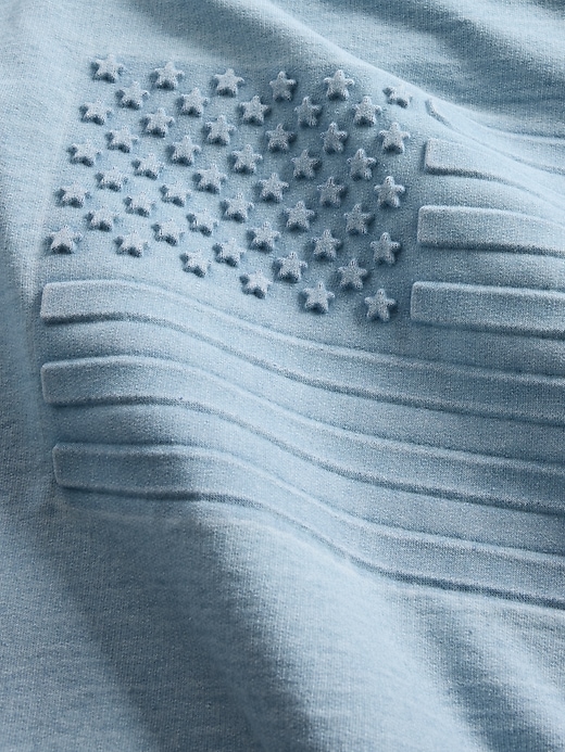 Image number 5 showing, French Terry Americana Cropped Hoodie