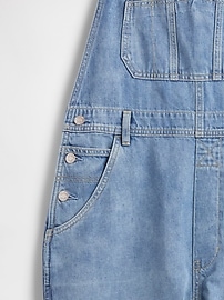 Denim Stripe Loose Overalls
