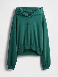 VintageSoft Arch Logo Crop Hoodie