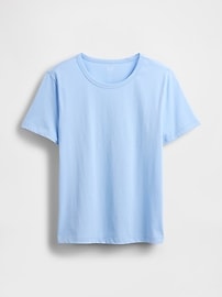Organic Cotton VintageSoft T-Shirt