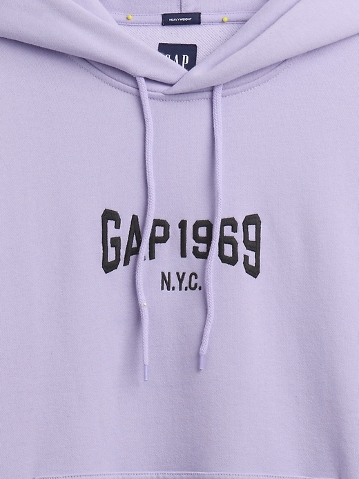 Image number 4 showing, Heavyweight 1969 Logo Hoodie
