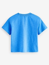 NEXT Toddler Bright Rainbow T-Shirt (4-Pack)