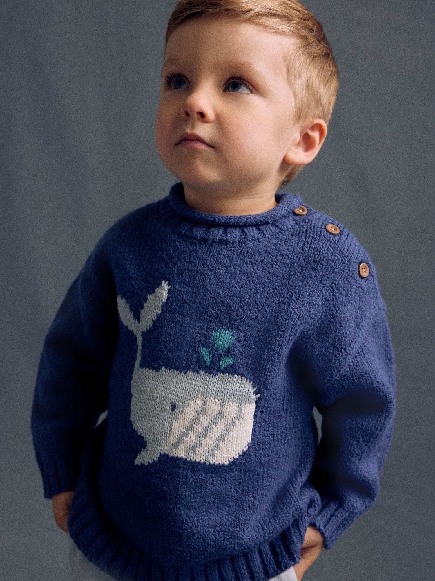 NEXT Toddler Whale Sweater