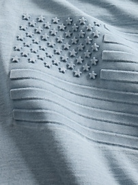 French Terry Americana Cropped Hoodie