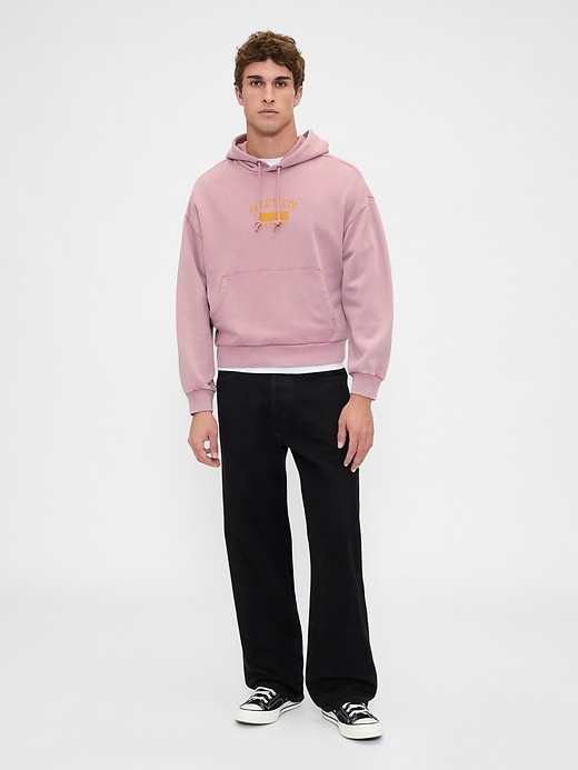 2 of 8 showing, with the color WISPY MAUVE of product Heavyweight Oversized Logo Hoodie