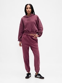 Vintage Soft Cropped Logo Hoodie