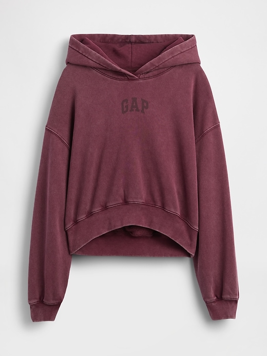Image number 5 showing, VintageSoft Crop Logo Hoodie