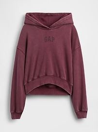 Vintage Soft Cropped Logo Hoodie