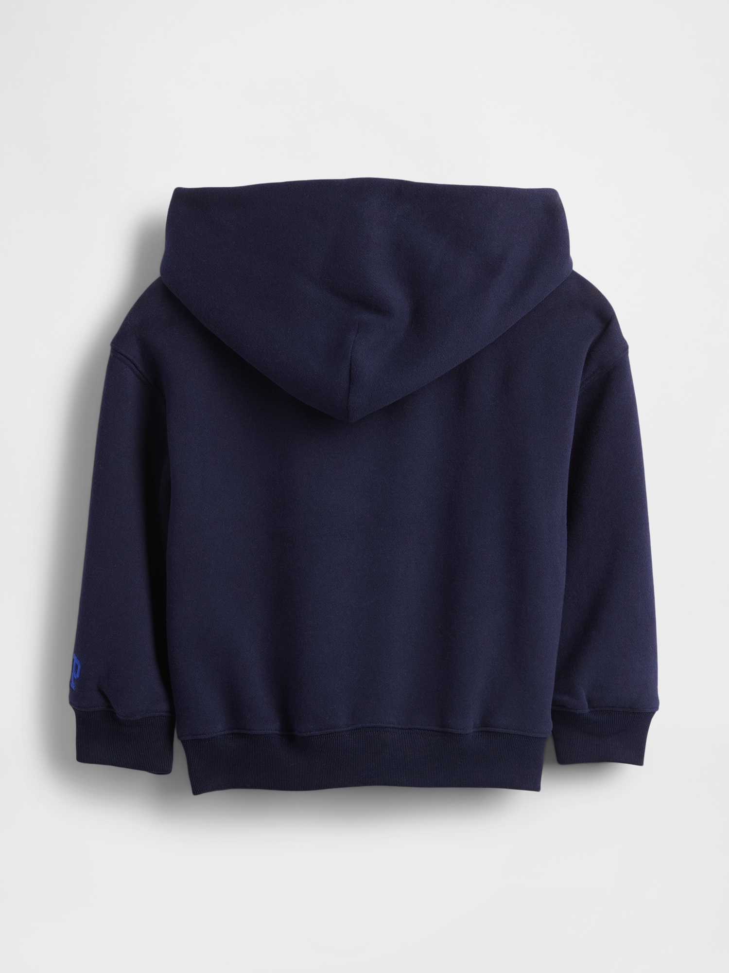 Baby & Toddler VintageSoft Dino-Pocket Hoodie