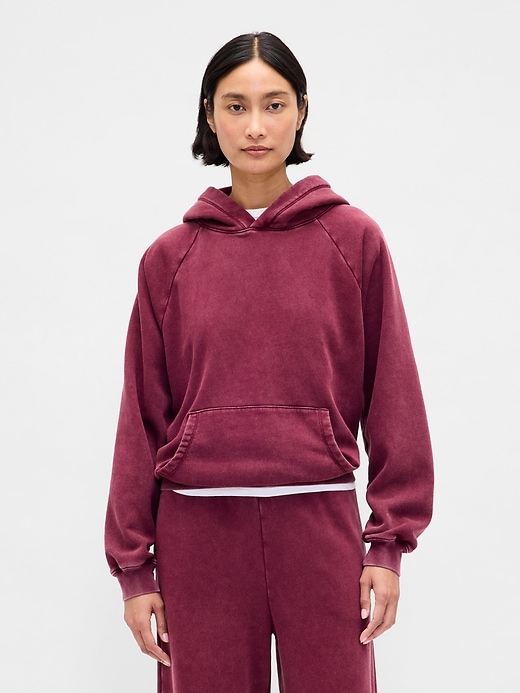 Image number 1 showing, VintageSoft Hoodie