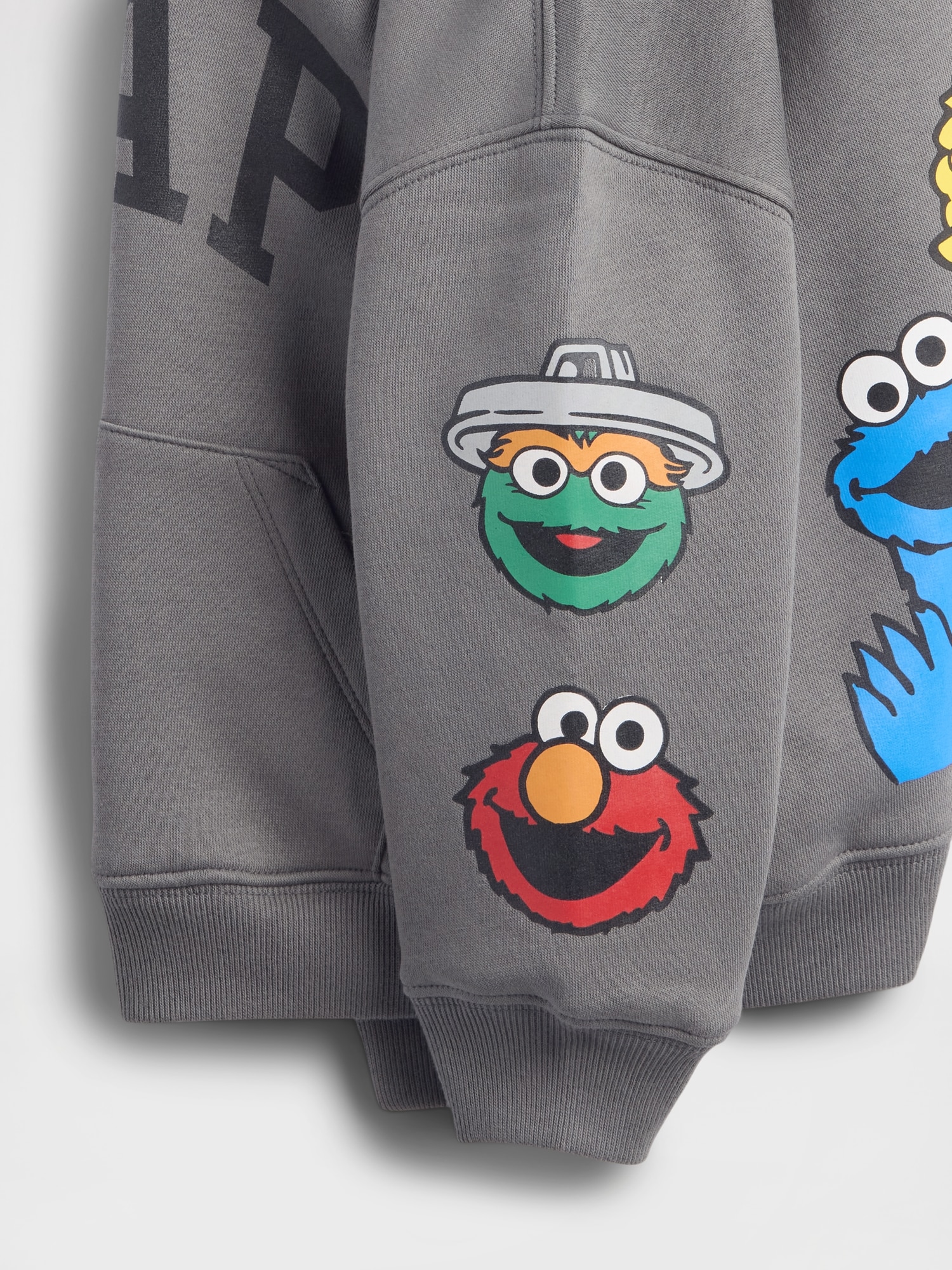 Baby & Toddler VintageSoft Sesame Street Logo Hoodie