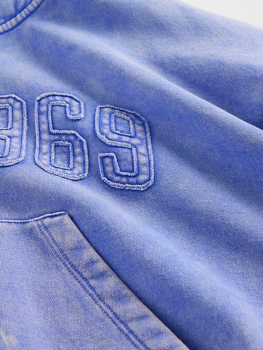 Image number 4 showing, VintageSoft 1969 Logo Zip Hoodie