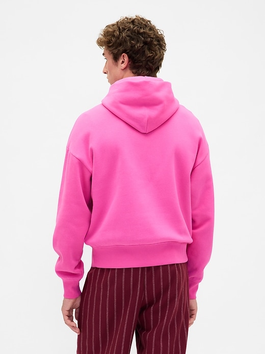 Image number 3 showing, VintageSoft NAP Logo Hoodie