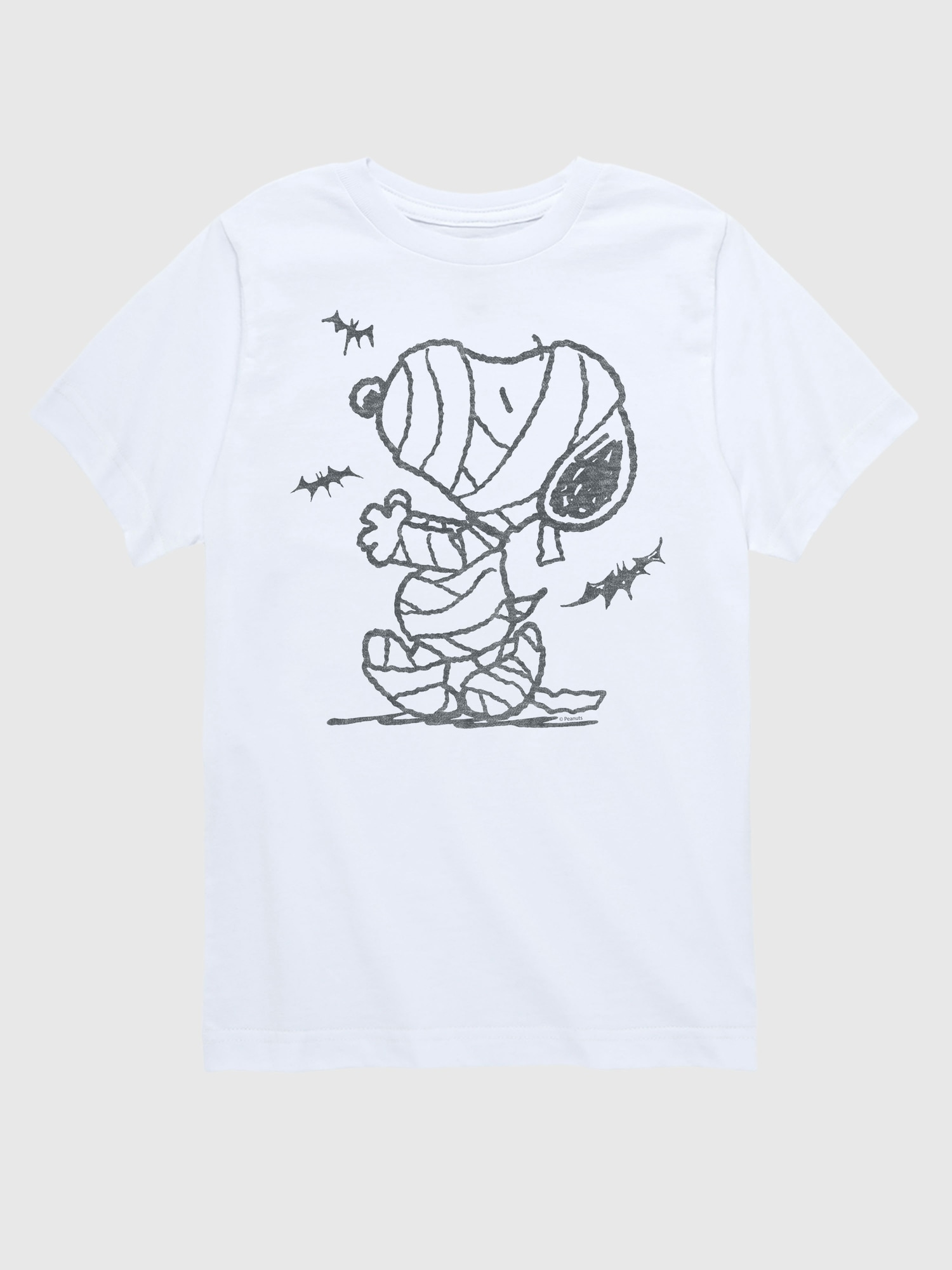 Toddler Peanuts Snoopy Mummy And Bats Short Sleeve Tee