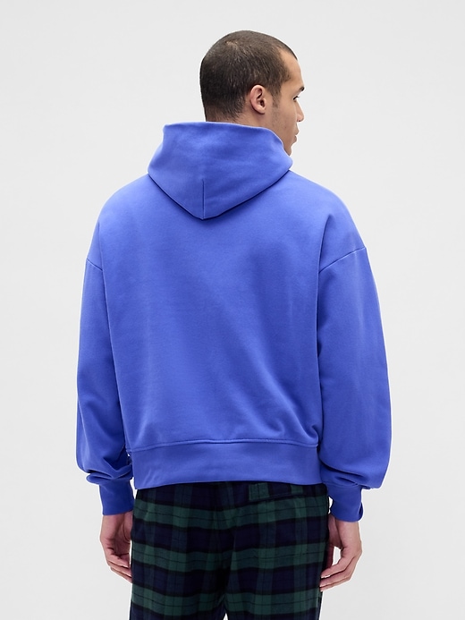VintageSoft NAP Logo Hoodie