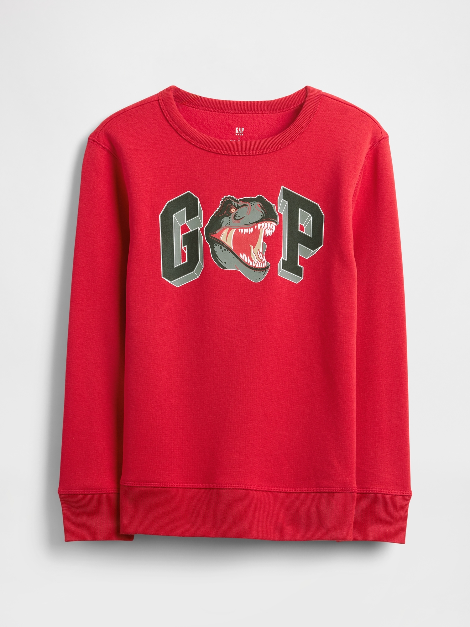 Kids Graphic Logo Sweatshirt