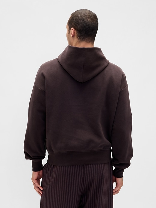 Image number 3 showing, VintageSoft NAP Logo Hoodie