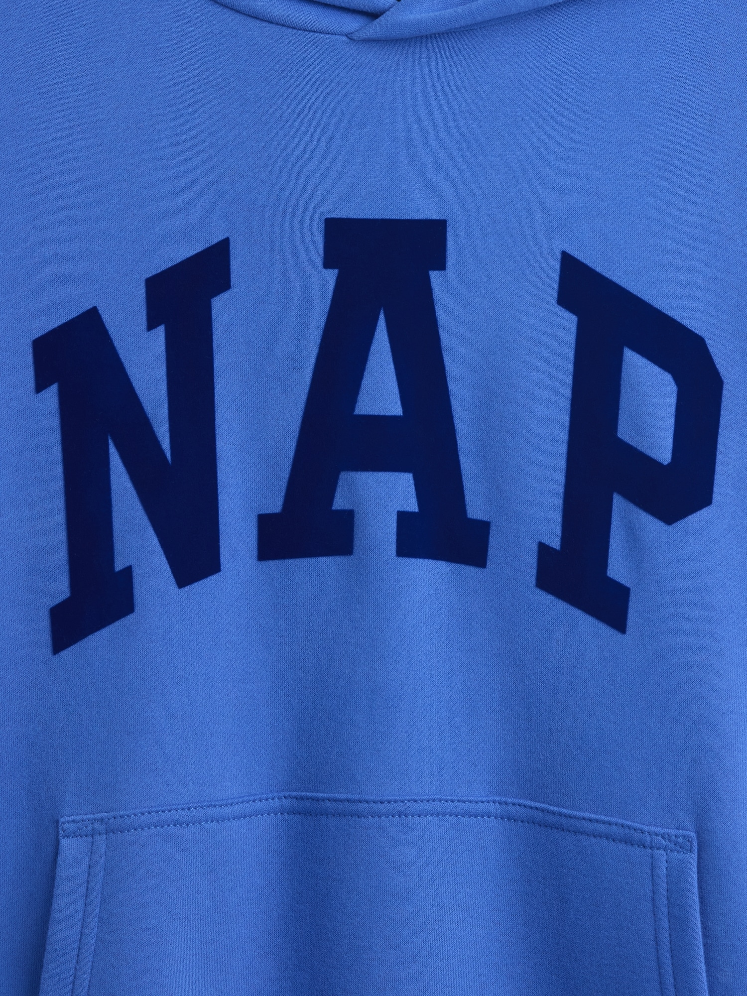 VintageSoft NAP Logo Hoodie