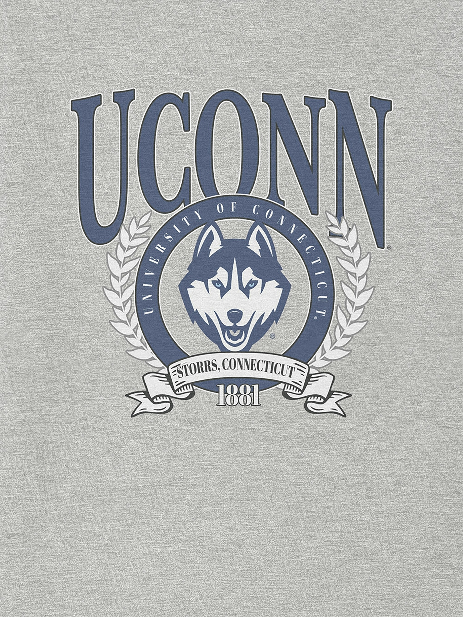Мужская футболка Gap UVM College Crest с принтом — фото 2