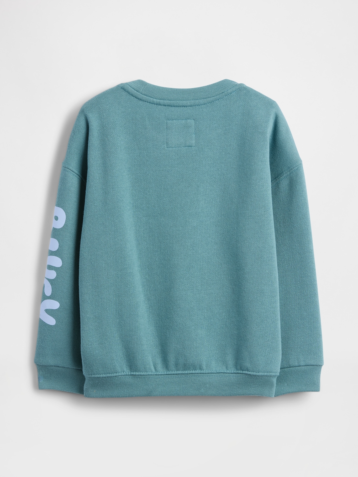 Baby & Toddler VintageSoft Bluey Graphic Sweatshirt