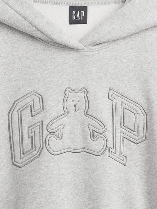 Image number 4 showing, VintageSoft Brannan Bear Logo Crop Hoodie